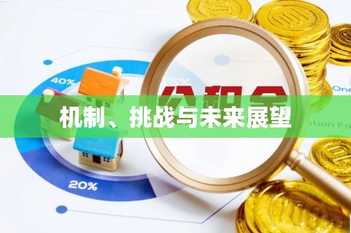 常熟机制、挑战与未来展望