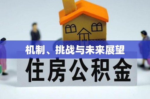常熟机制、挑战与未来展望
